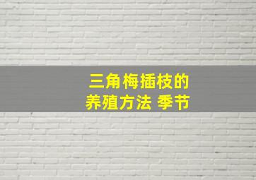 三角梅插枝的养殖方法 季节